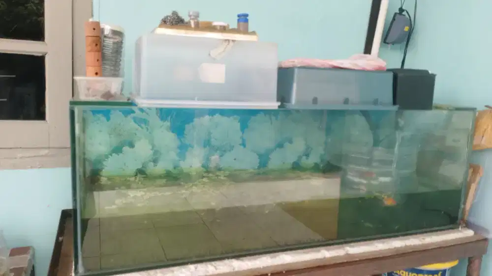 aquarium panjang bekas baca deskripsi
