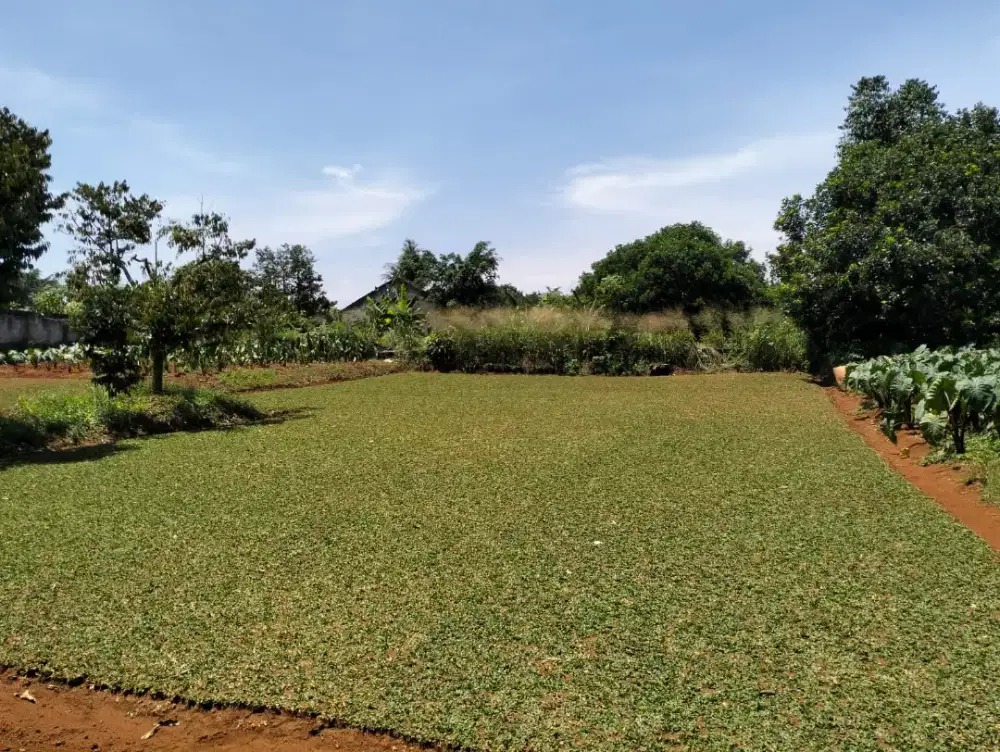 Dijual tanah cocok untuk TownHouse/pribadi