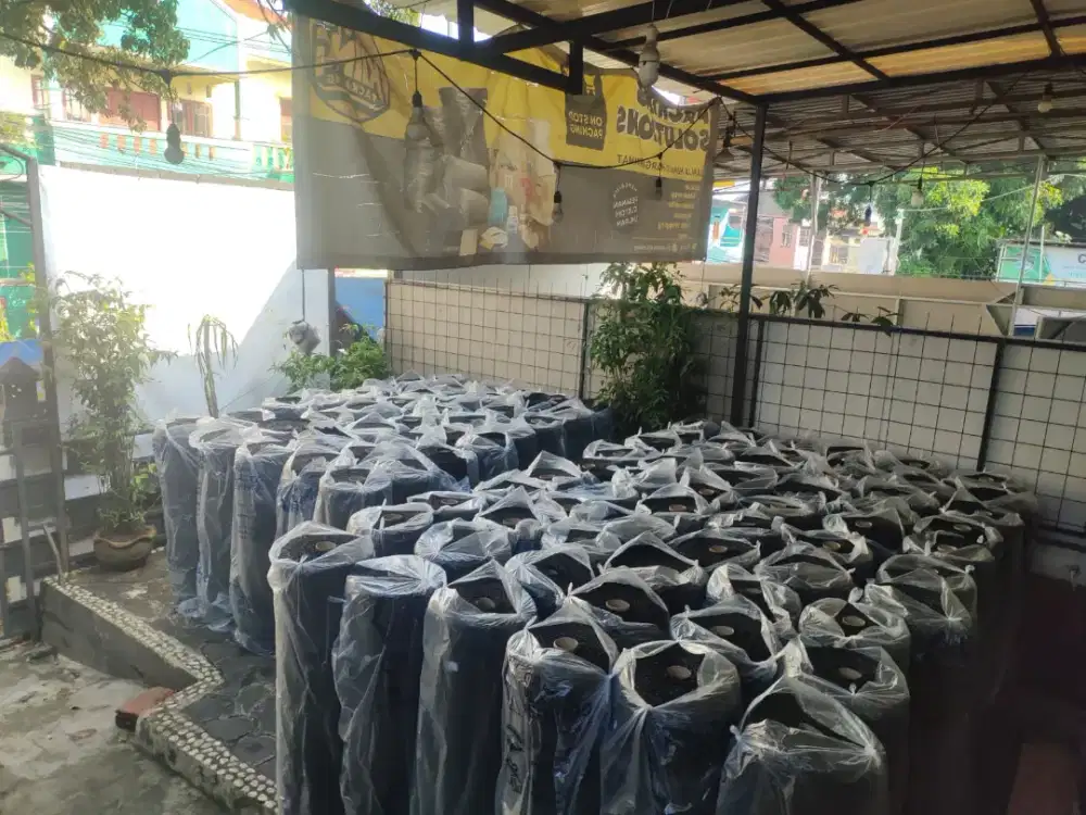 Lowongan kerja,bubble wrap