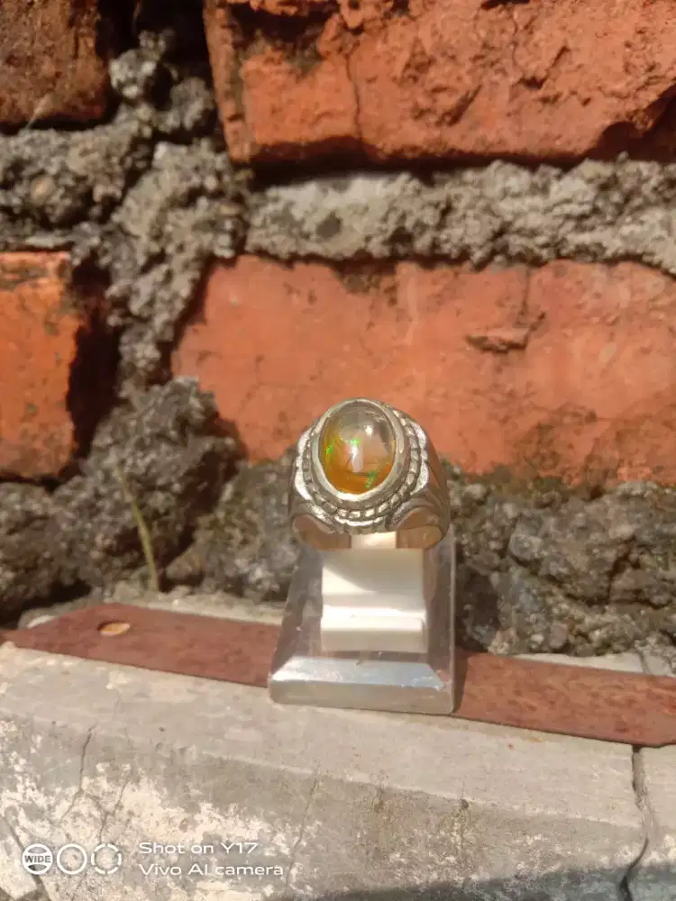 Kalimaya kristal jarong lincah