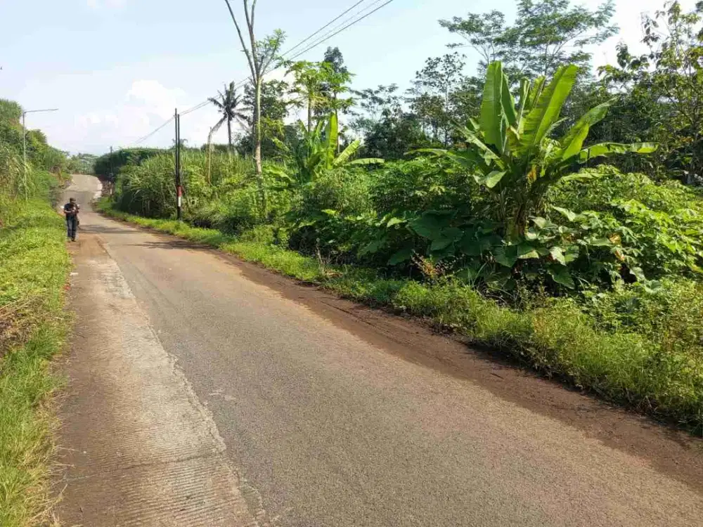 TANAH COCOK UNTUK PERTANIAN LOKASI PAKISAJI MALANG