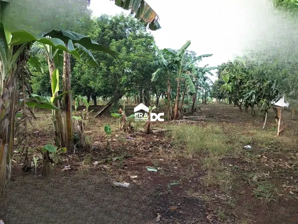 Jual Tanah Luas Kawasan Industri Hanya 3 jt per meter di Jalan Mayong Jepara