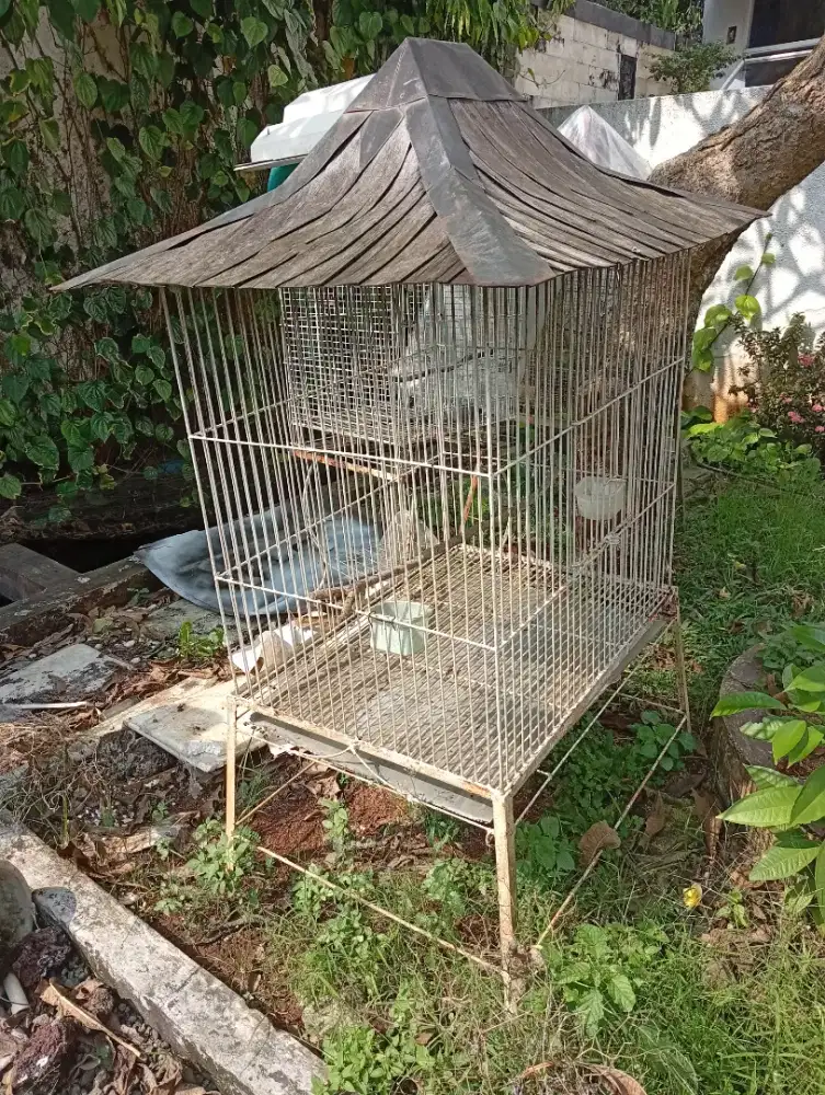 Dijual kandang 50x50x100 kurang lebih