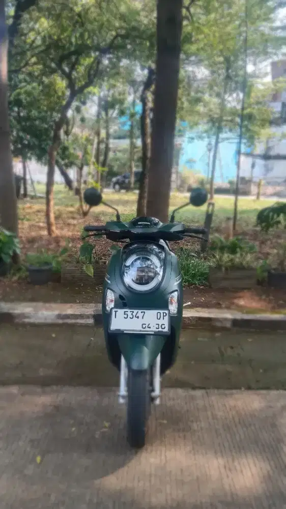 Honda Scoopy Stylish 2025