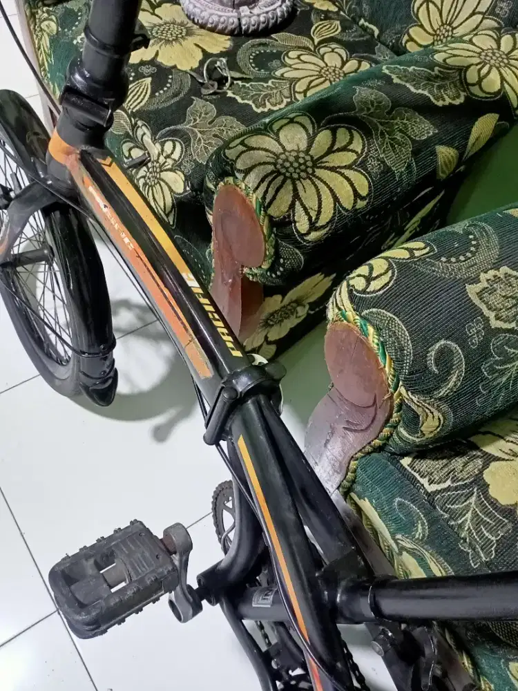 Lipat dewasa r20 Pasific