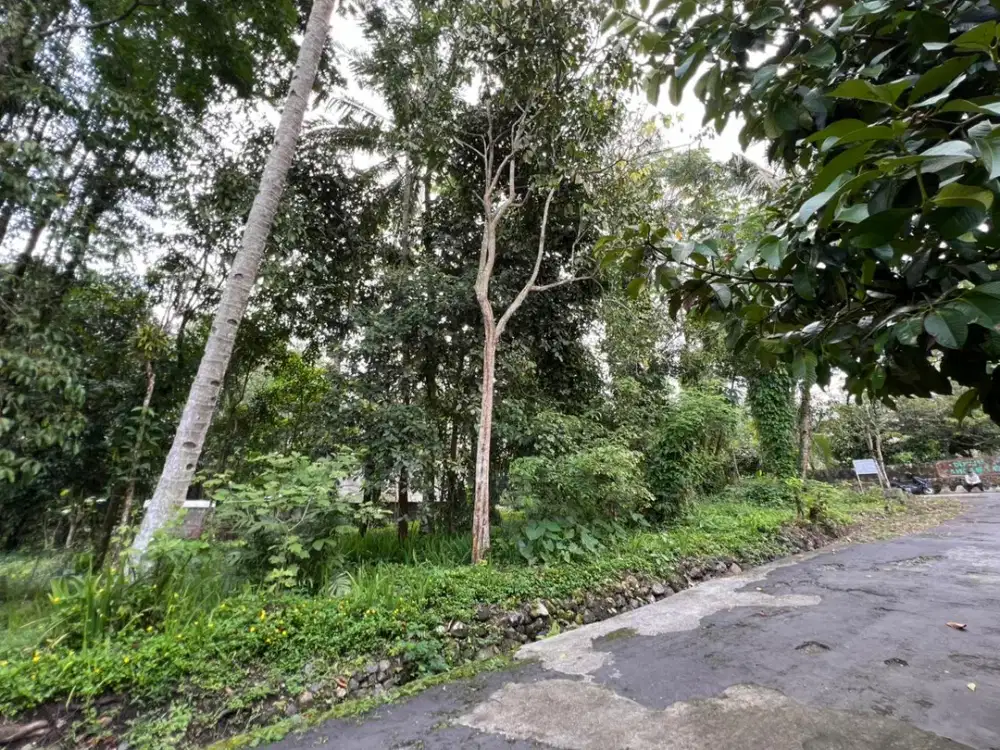 TANAH MURAH AREA SLEMAN UTARA