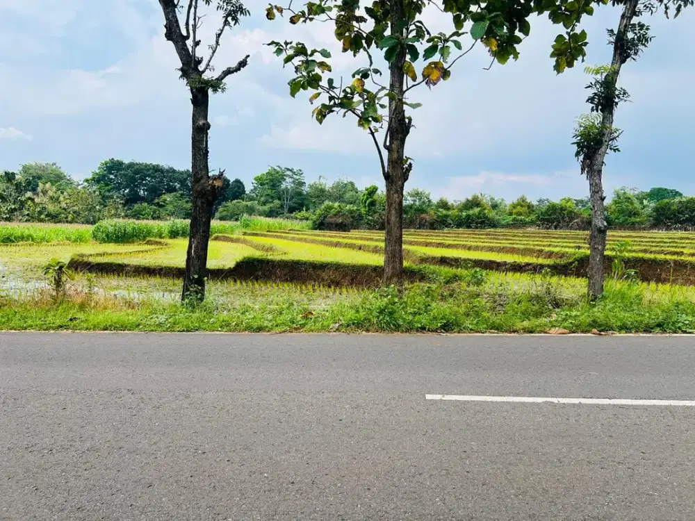 Tanah Strategis 4000m2 Pinggir Jalan Raya Kerjo Karanganyar