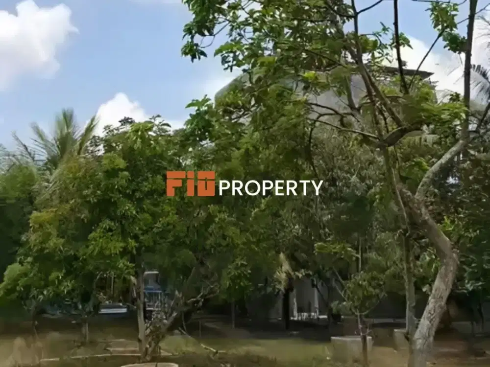 DI JUAL KEBUN 2 HEKTAR + RUMAH WALET PRODUKTIF KAB. LANGKAT