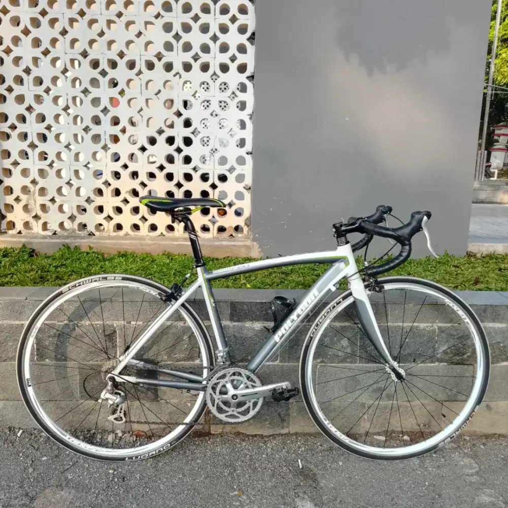Sepeda balap roadbike Polygon helios c2.0