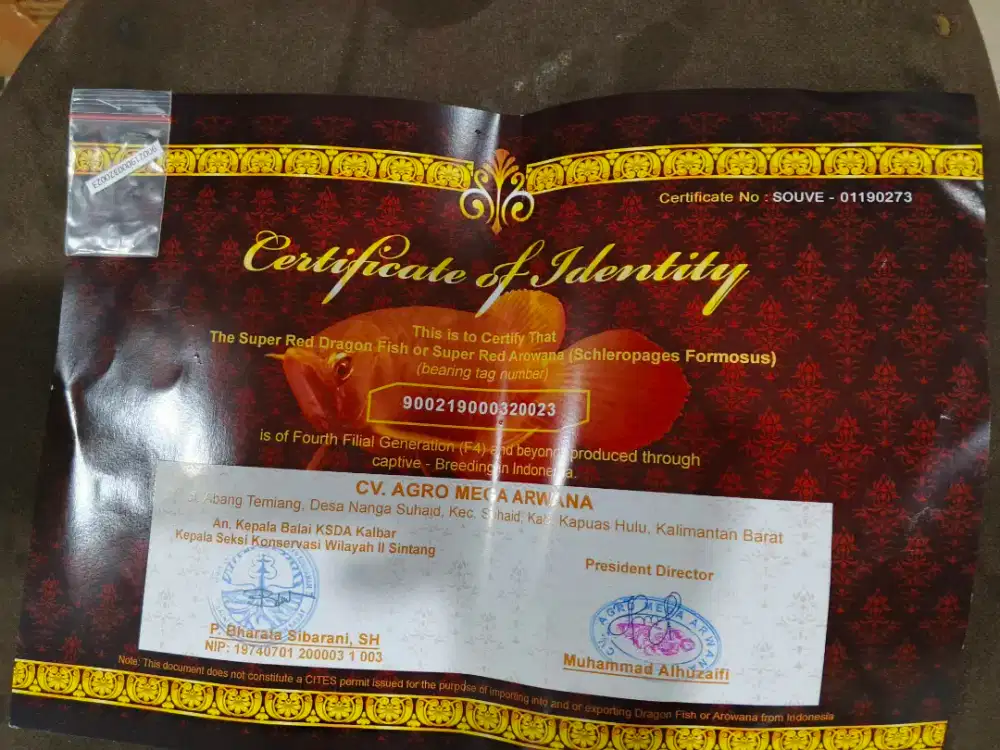 Sertifikat super red