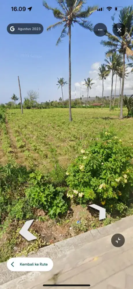 Tanah LT 2100 di Bangsring Wongsorejo Banyuwangi