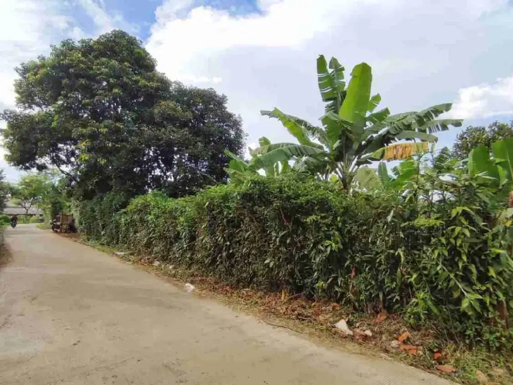 Dijual Cepat Tanah di pinggir jalan cocok untuk di Bangun Cluster lokasi di Pasir putih Sawangan Kota Fepok