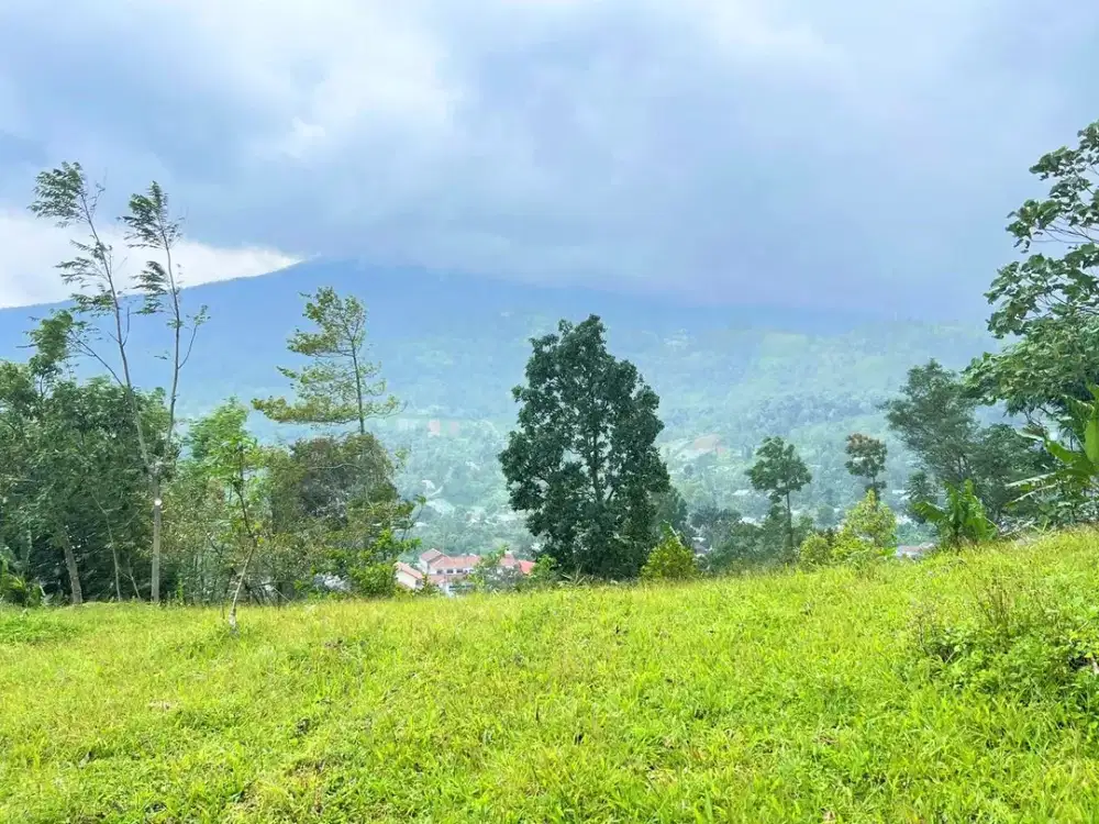 Tanah View Gunung Lawu 360° Tanpa Halang Luas 1600m2