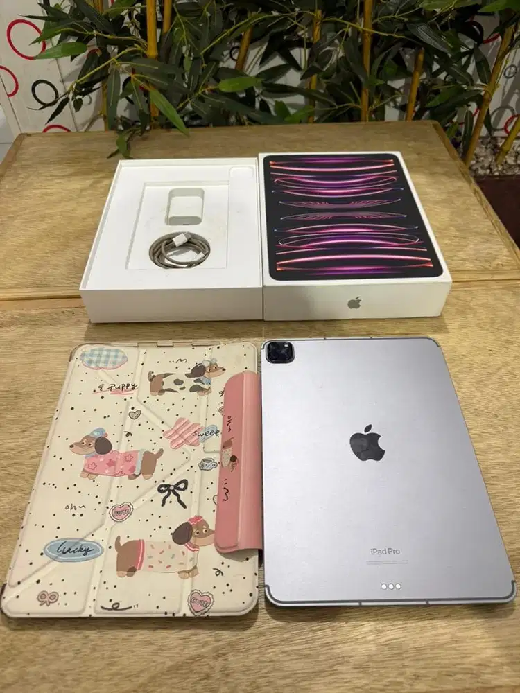 iPad Pro M2 Gen 4 (2022) 11 inch 128 GB Grey WiFi Cell Fullset
