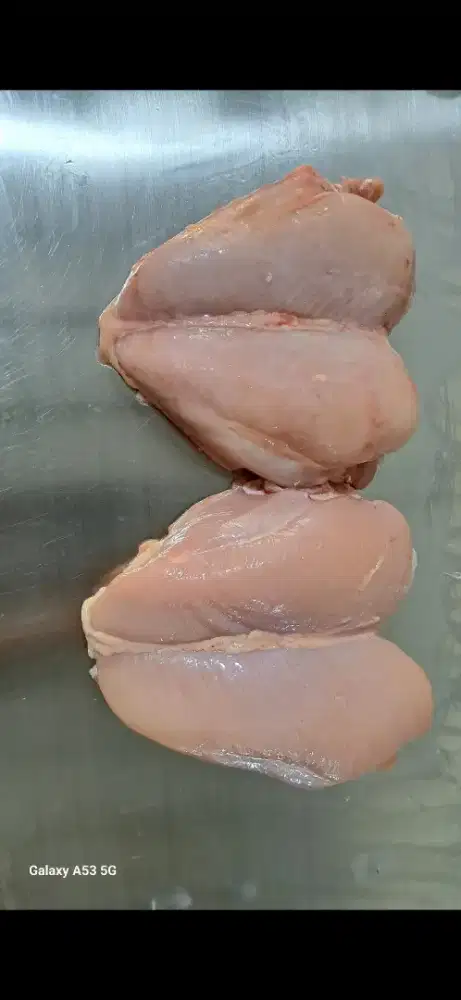 DICARI ADMIN PEMOTONGAN AYAM