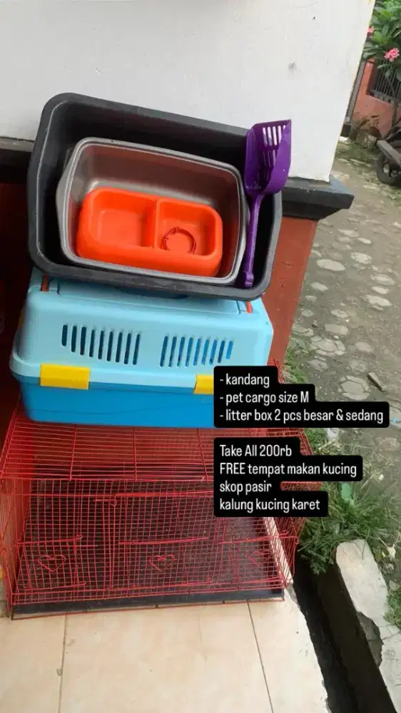 kandang kucing dan pet cargo
