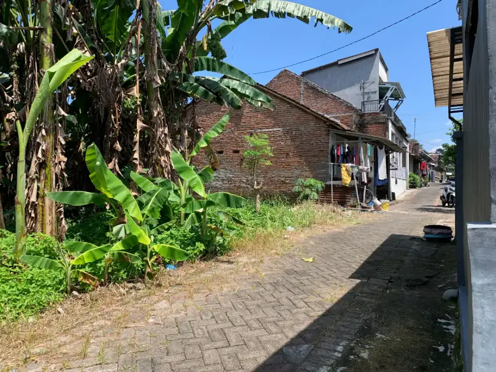 Tanah dekat SMPN 7 Jember cocok untuk dibangun Rumah atau Invest