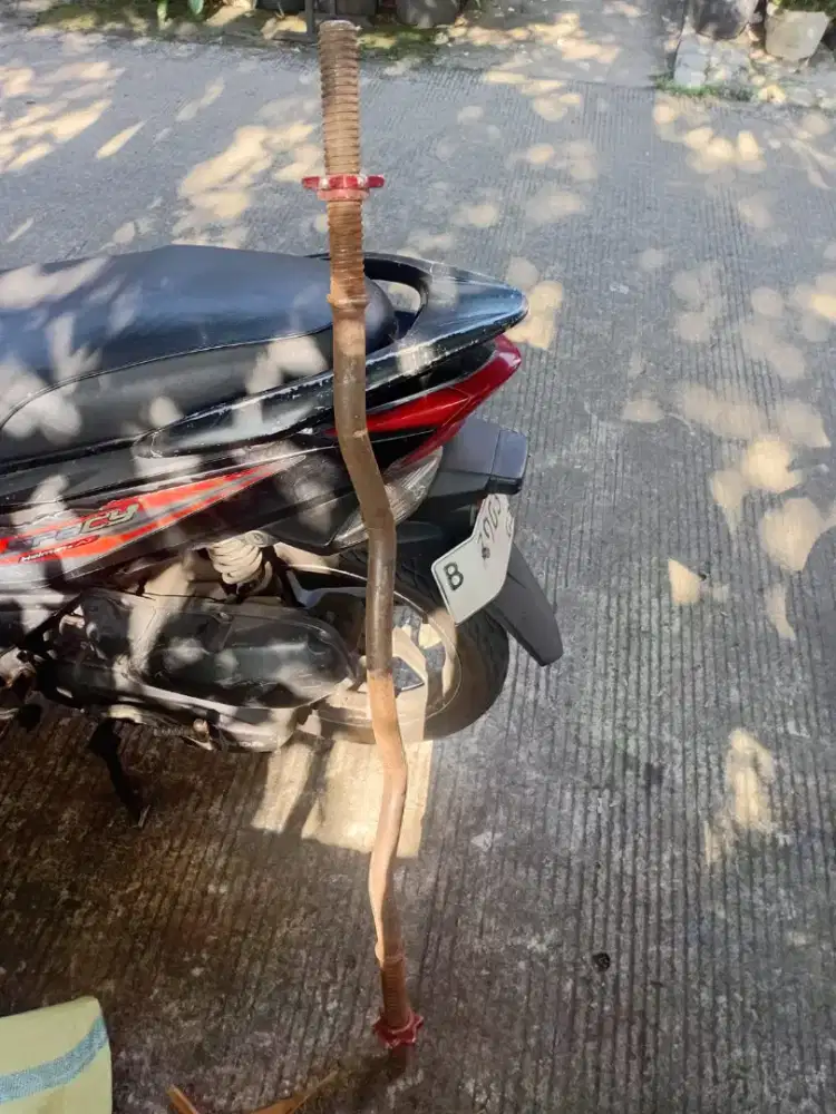 Stick barbel lengkung