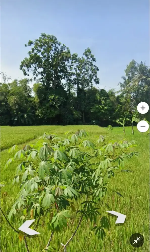 Dijual Tanah Di Sardonoharjo,Ngaglik , Sleman Yogyakarta