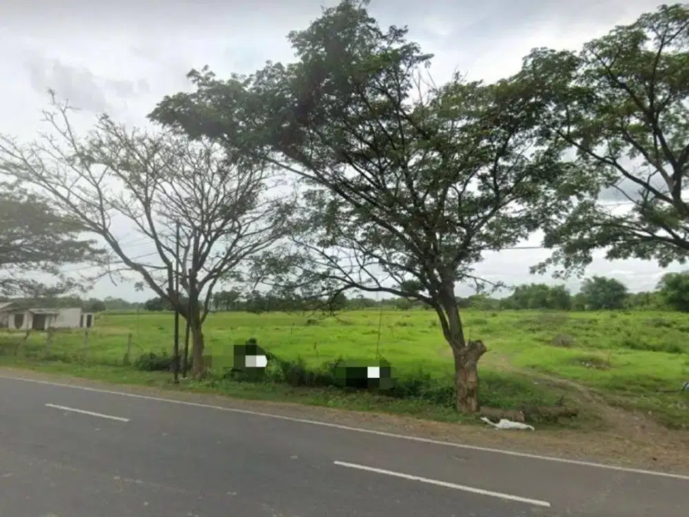 Tanah Di Raya Tuban - Babat Harga Murah Lokasi Strategis