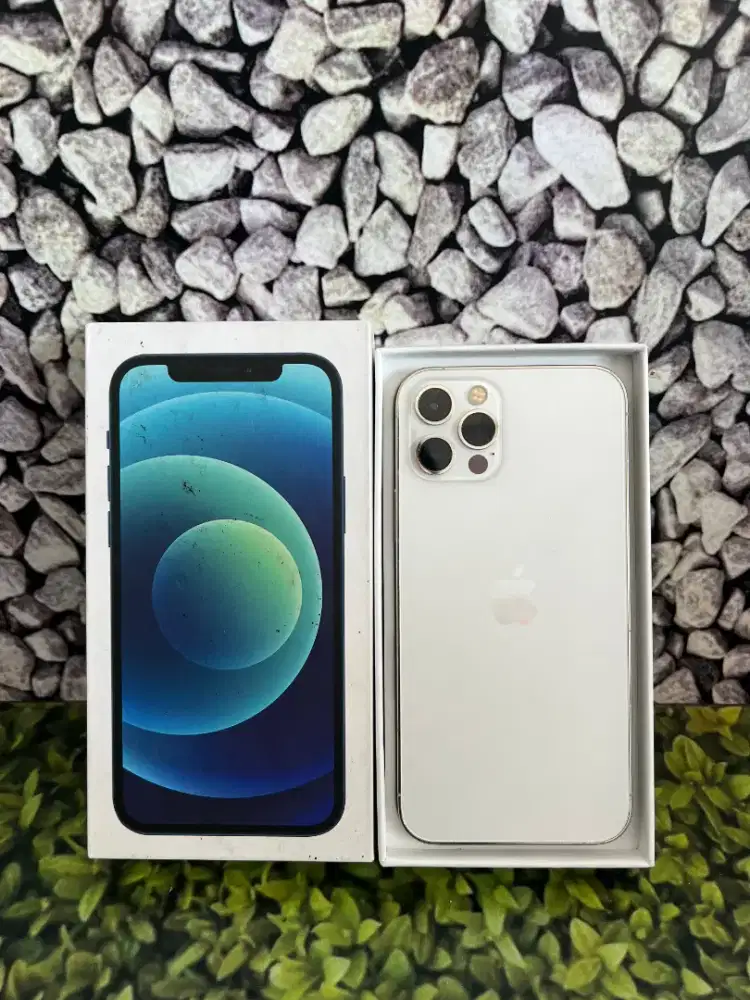 Iphone 12 pro 256Gb ex inter