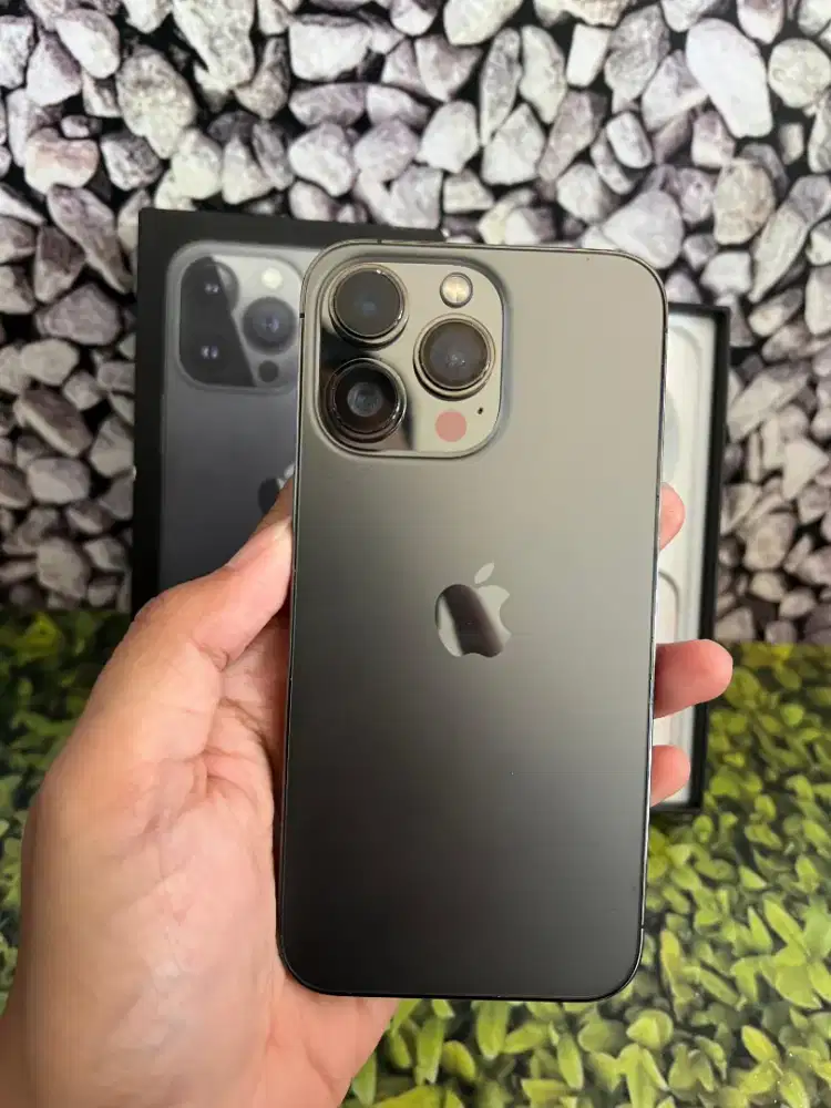 Iphone 13 pro 256Gb ex inter