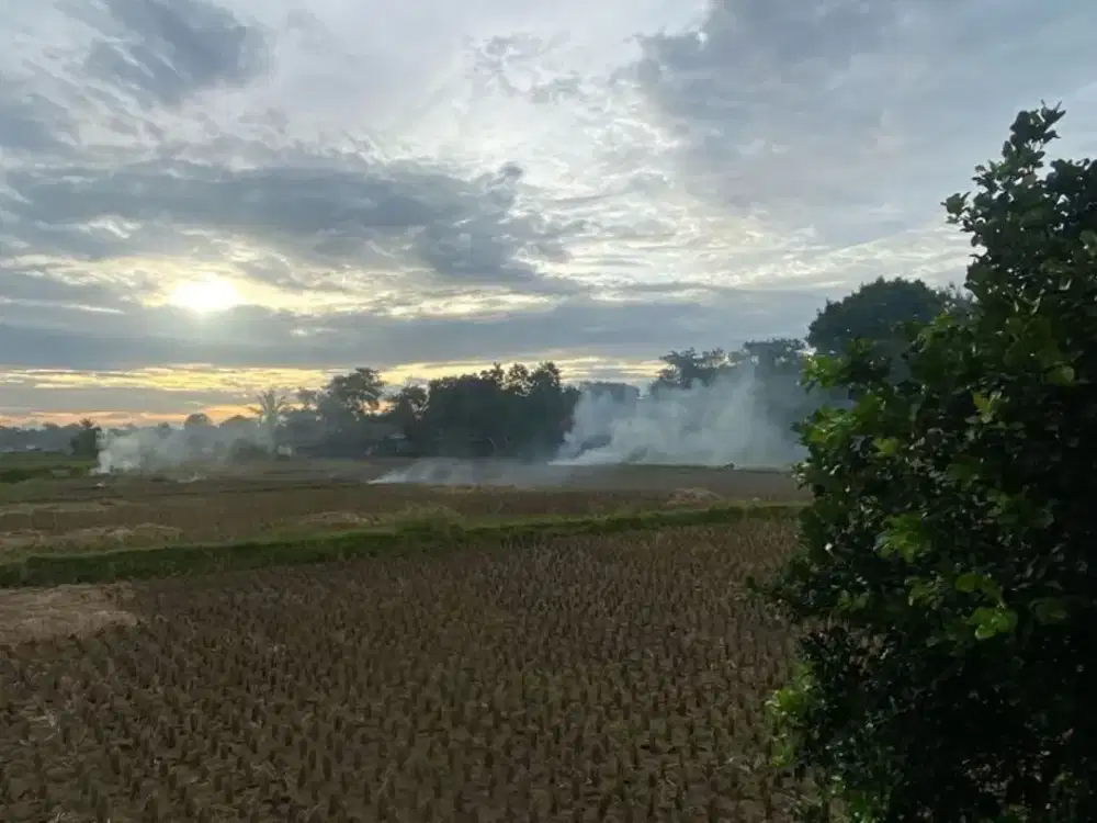 DIJUAL TANAH 2M 1700 LUAS PALING PREMIUM