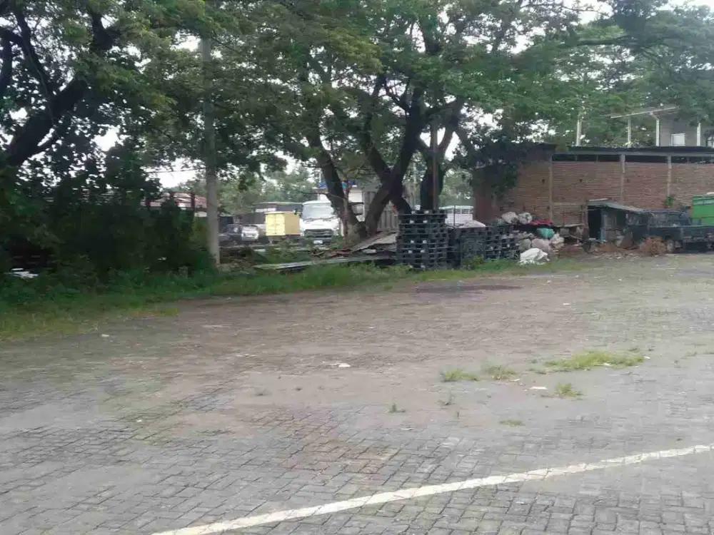 JUA RUGI HRG SANGAT MURAH BU RUKO GEMPOL