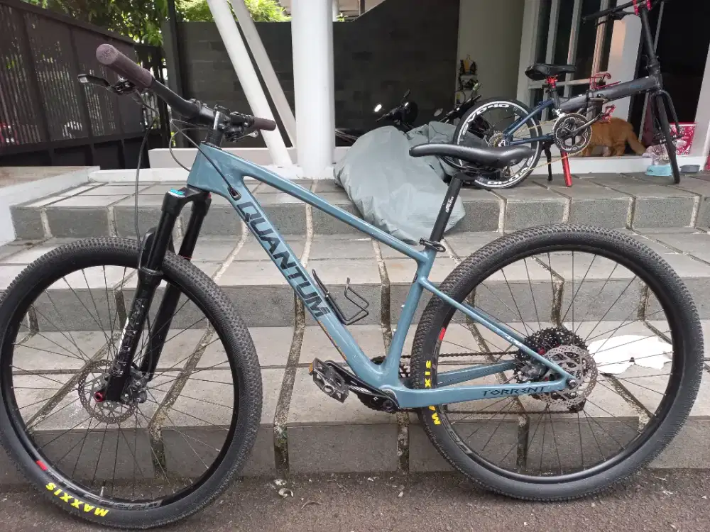 Speda Quantum torrent carbon