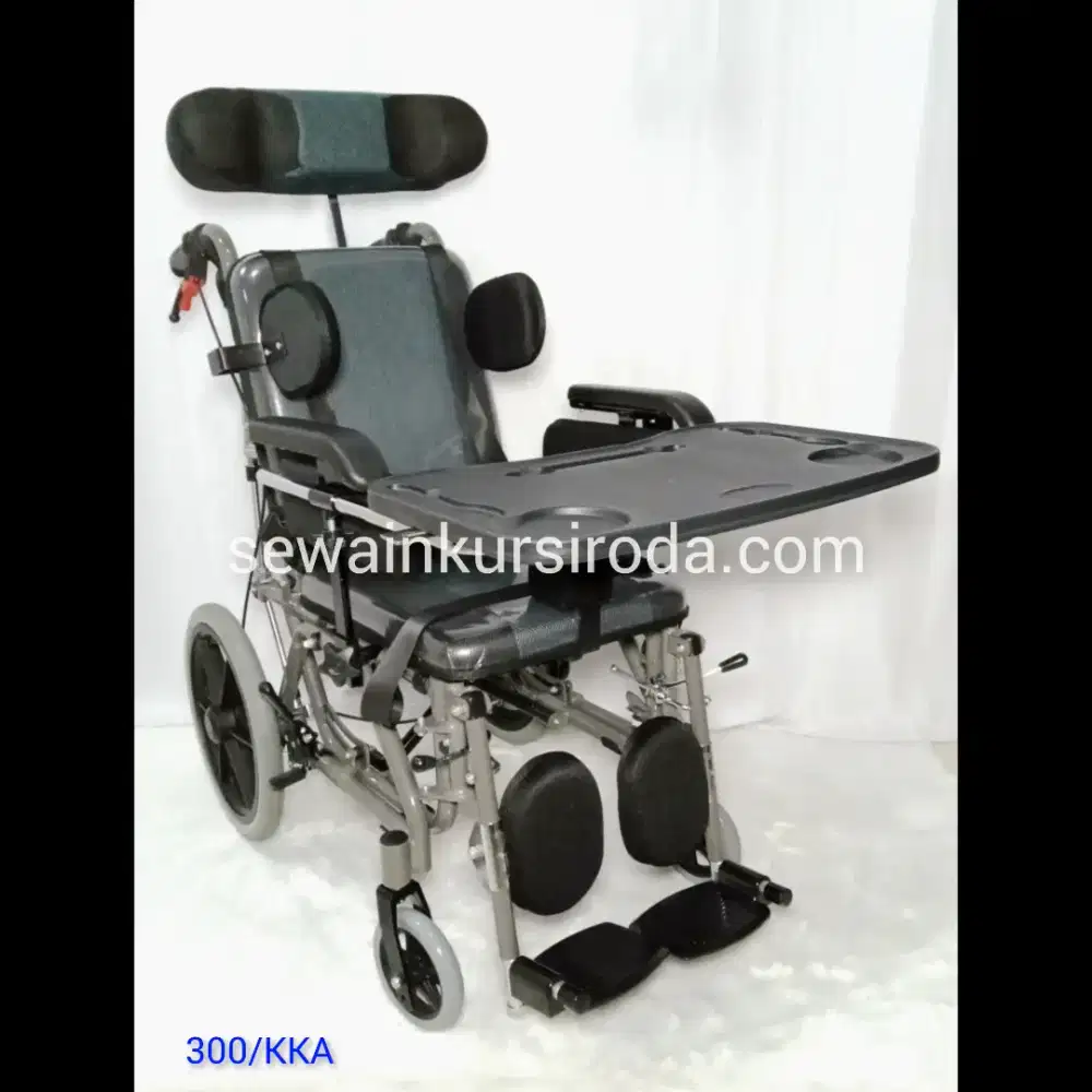 Kursi Roda CP (Cerebral Palsy) 4in1 avico