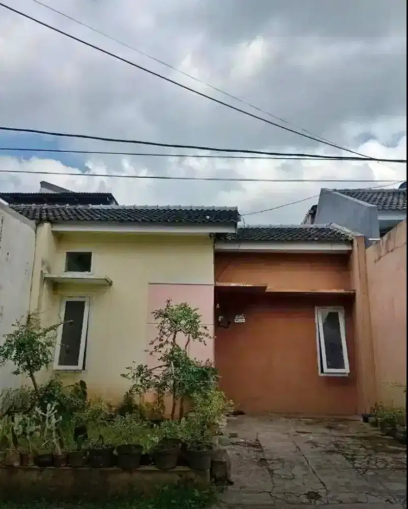 Rumah Type 21 dekat Kampus Moch Sroedji Jember