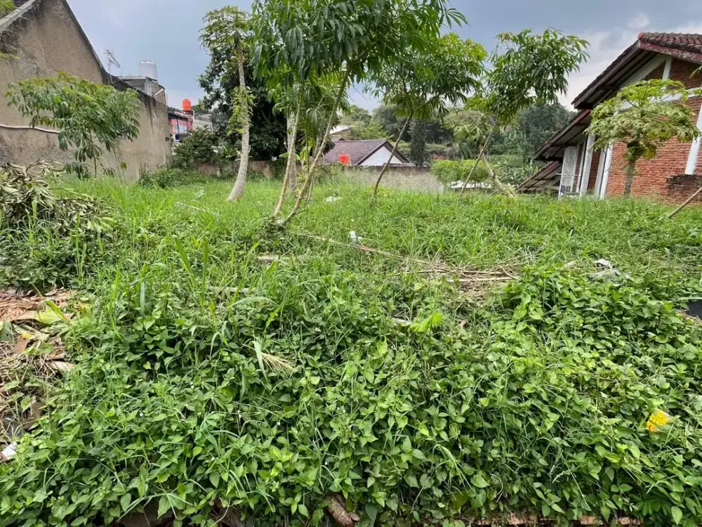 Kavling Premium Sarijadi 500 m² – Siap Bangun, Cocok Villa / Rumah Mewah