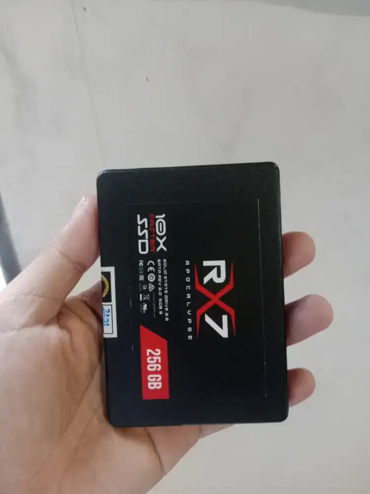 SSD 256GB RX7 Kesehatan 100/100