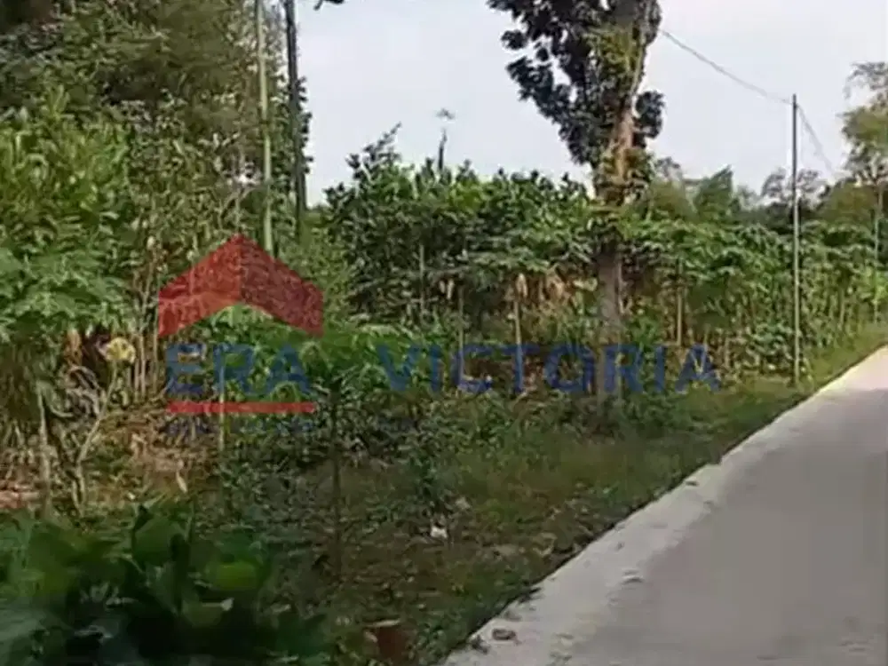 Tanah Sewa Jual di Pare Kandangan Dekat Minimarket, Pondok Pesantren, Lapangan, Sekolah & Pom Bensin