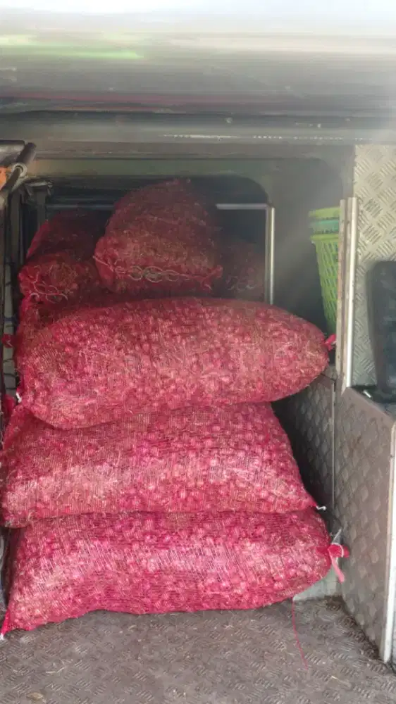 RESELLER BAWANG MERAH