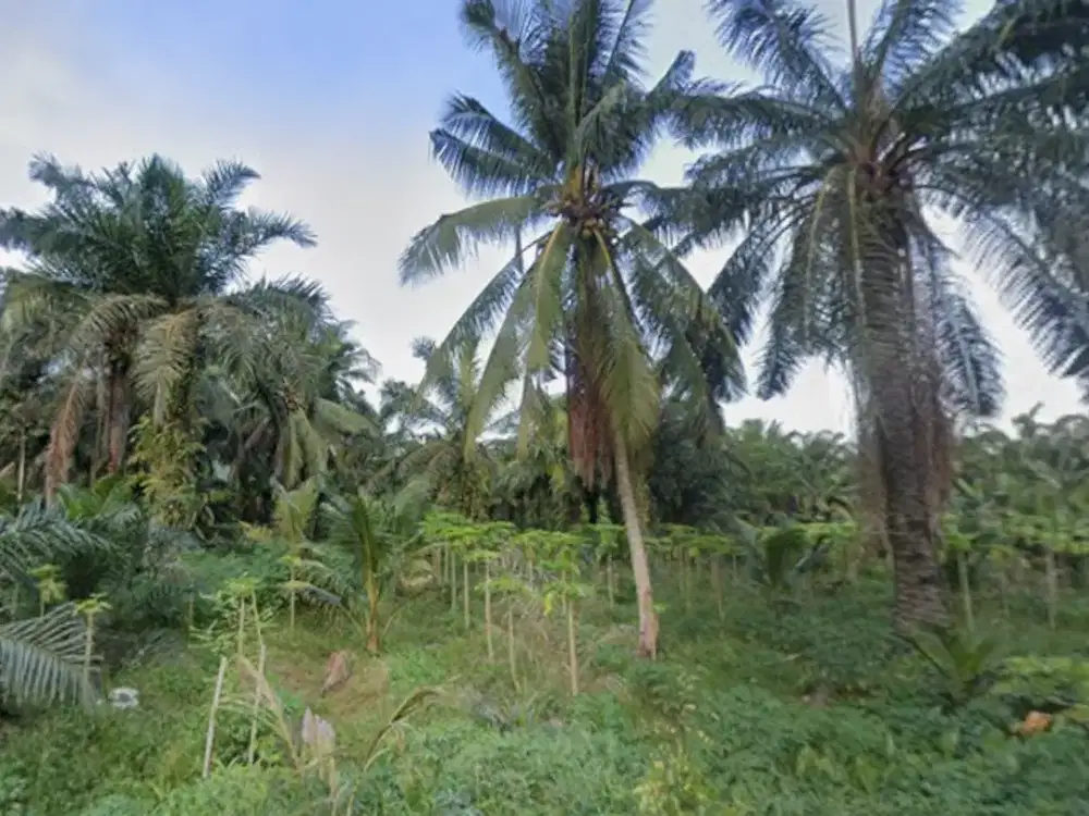 [DIJUAL] Tanah Hoek Di Pinggir Jalan ±4000 m² (Luas Lebih) – Lokasi Strategis di Air Joman, Asahan