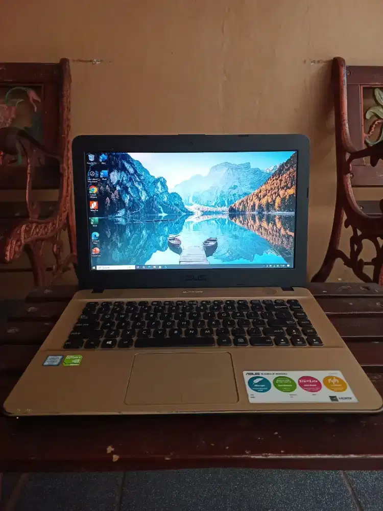 Laptop Asus X441UV