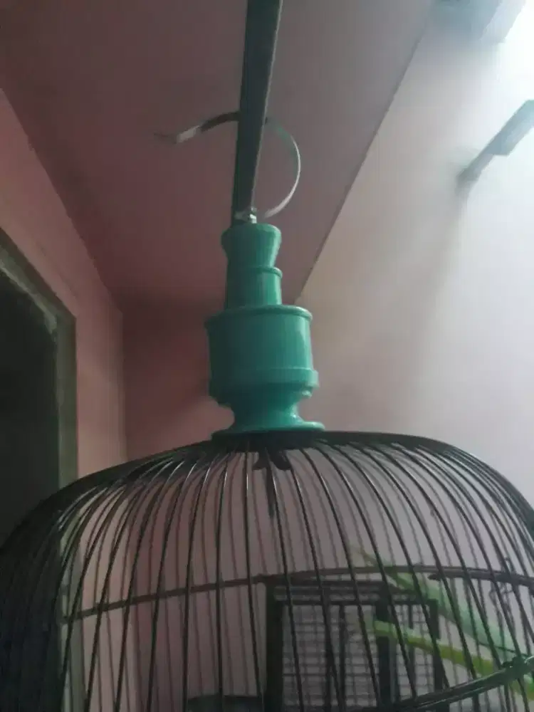 kandang besi lovebird baru