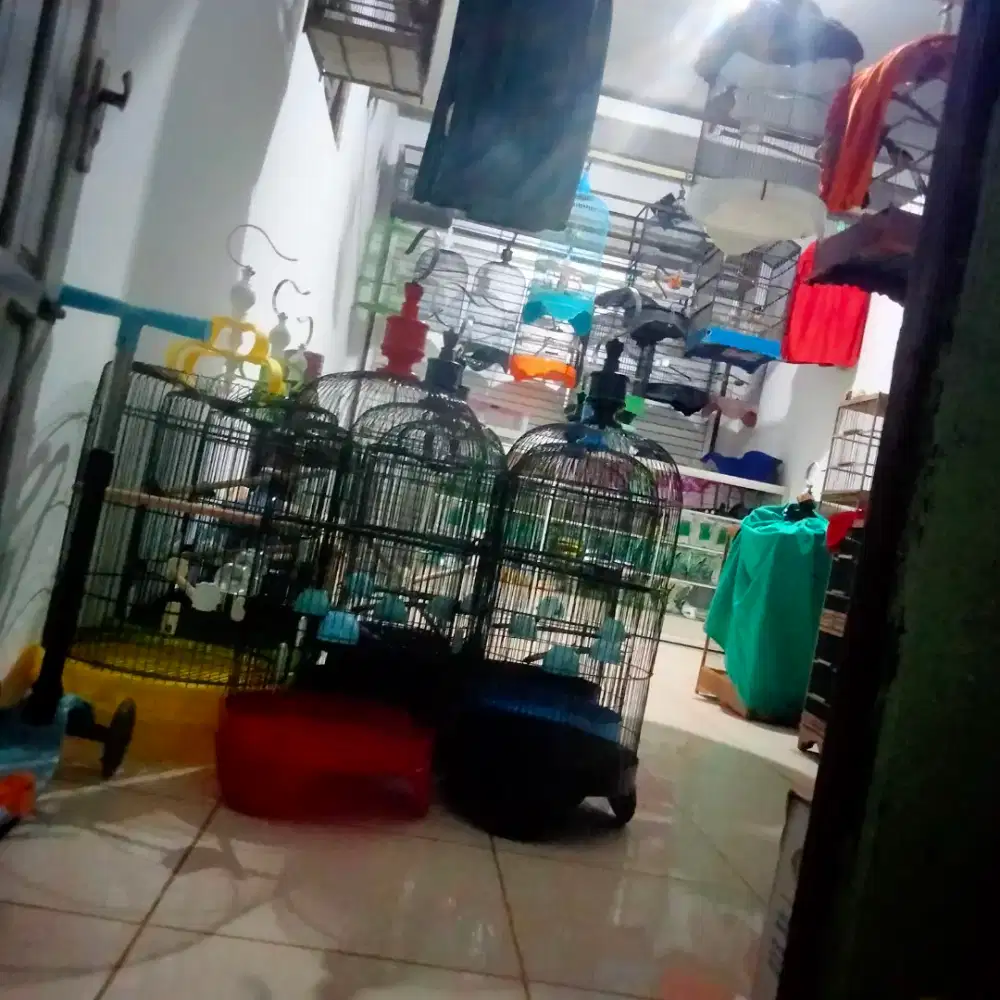 burung sangkar burung