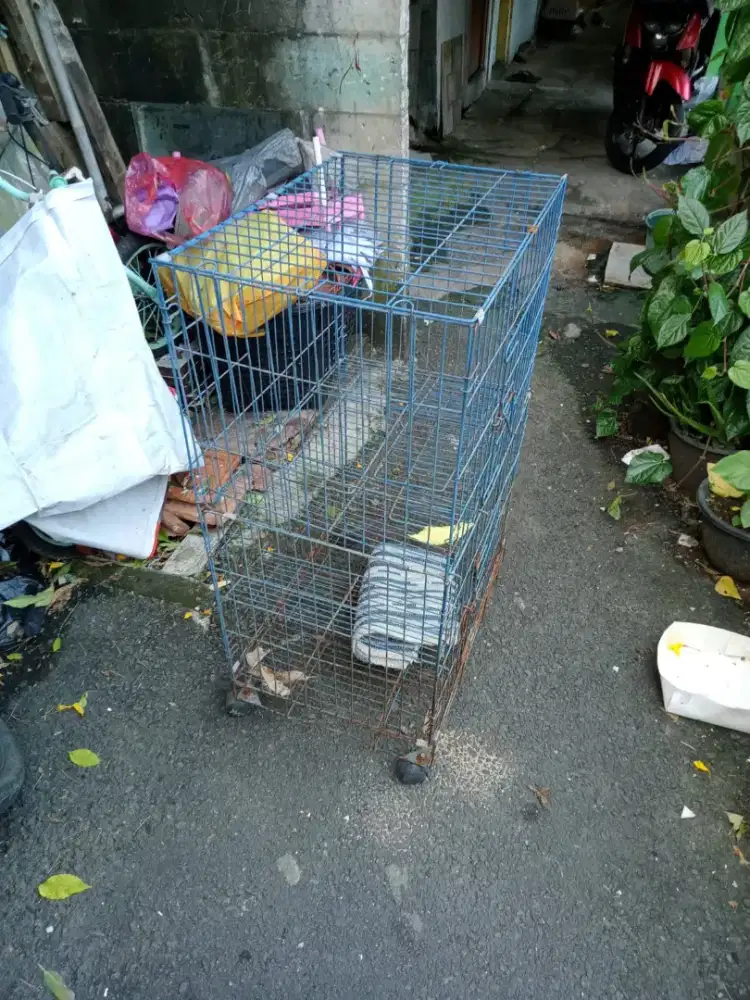 Kandang kucing   . Masih lumayan bagus
