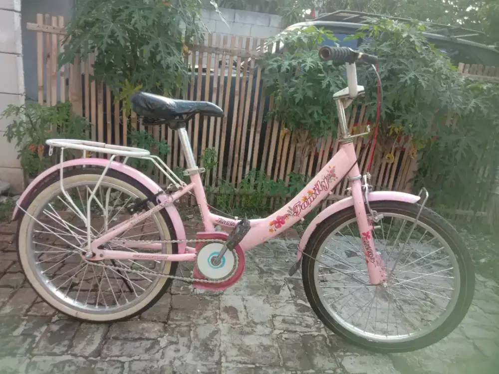 Sepeda mini Anak family ring 20.