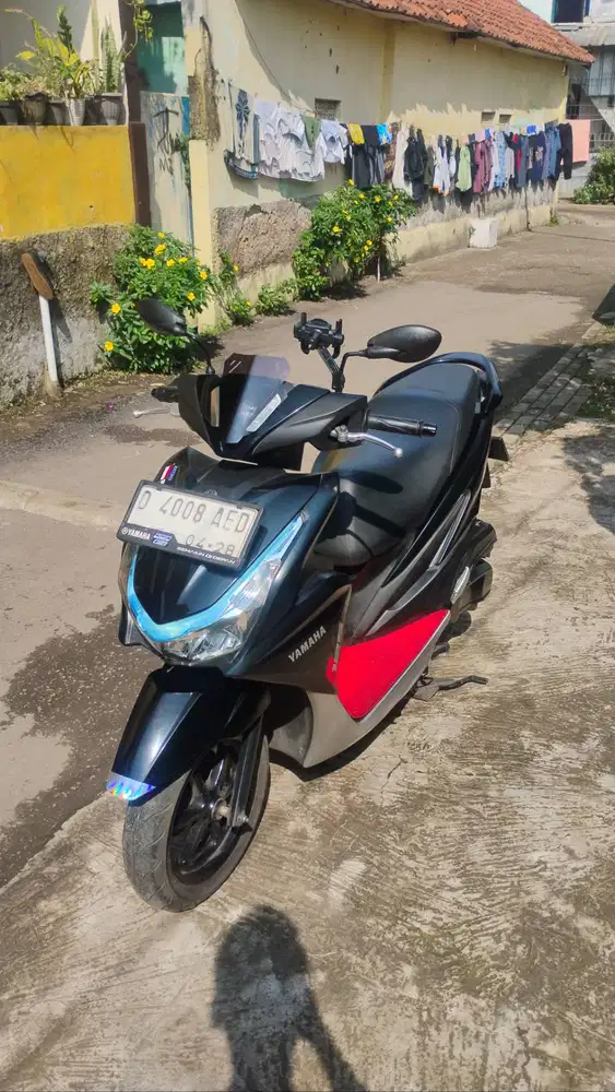 Freego 2023 ++ bonus