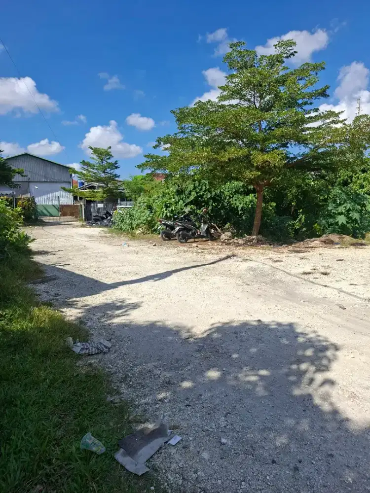 Dijual tanah lokasi padang samnian kaja