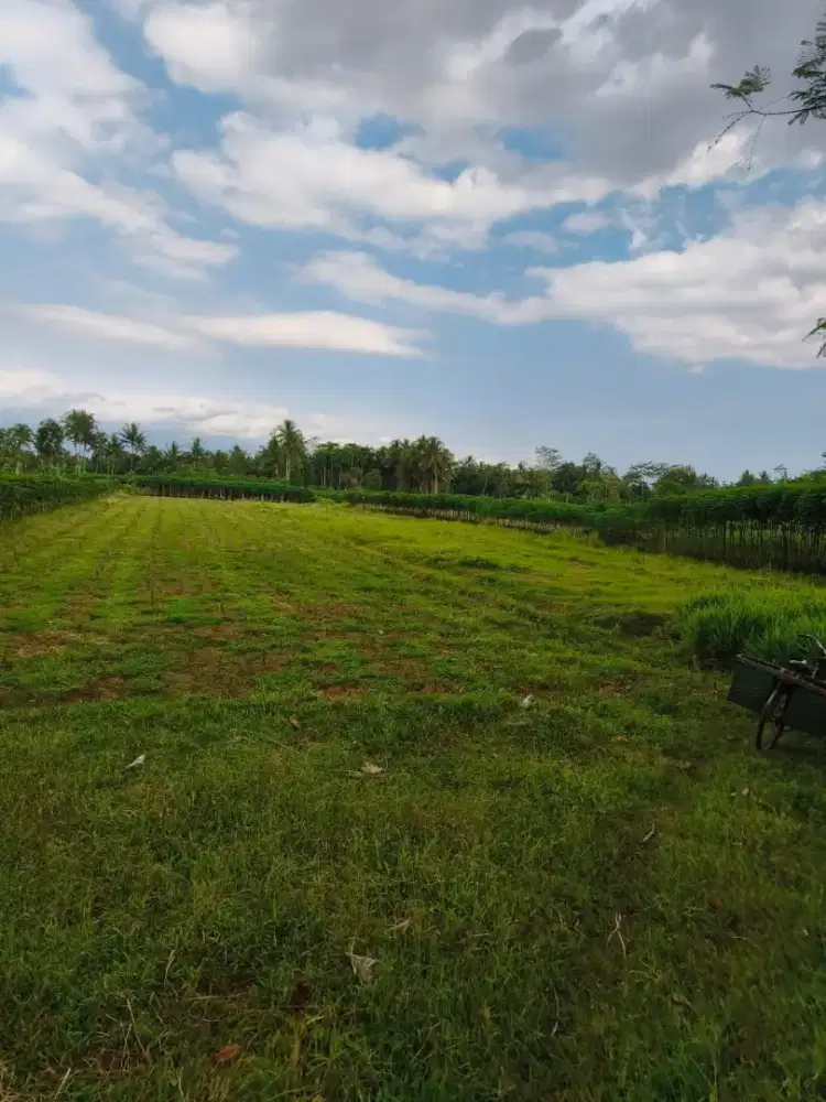 Jual Tanah di Borobudur