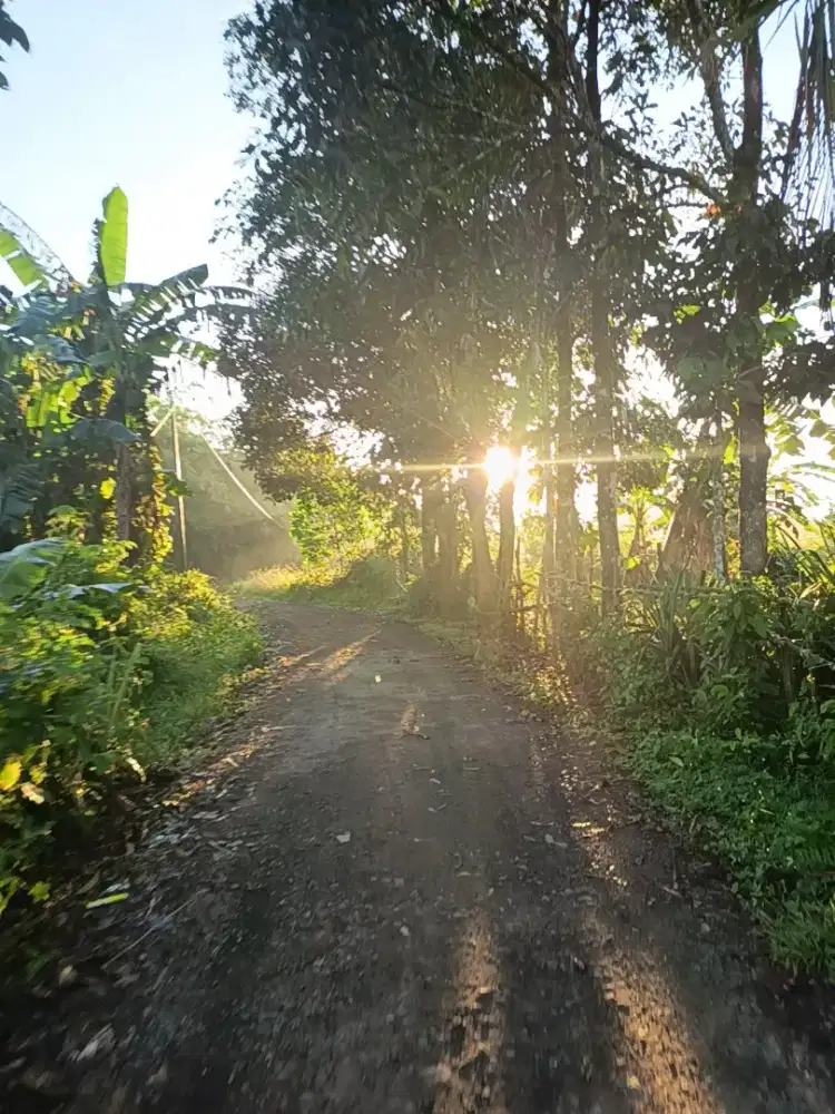 Tolong info lokernya kaa