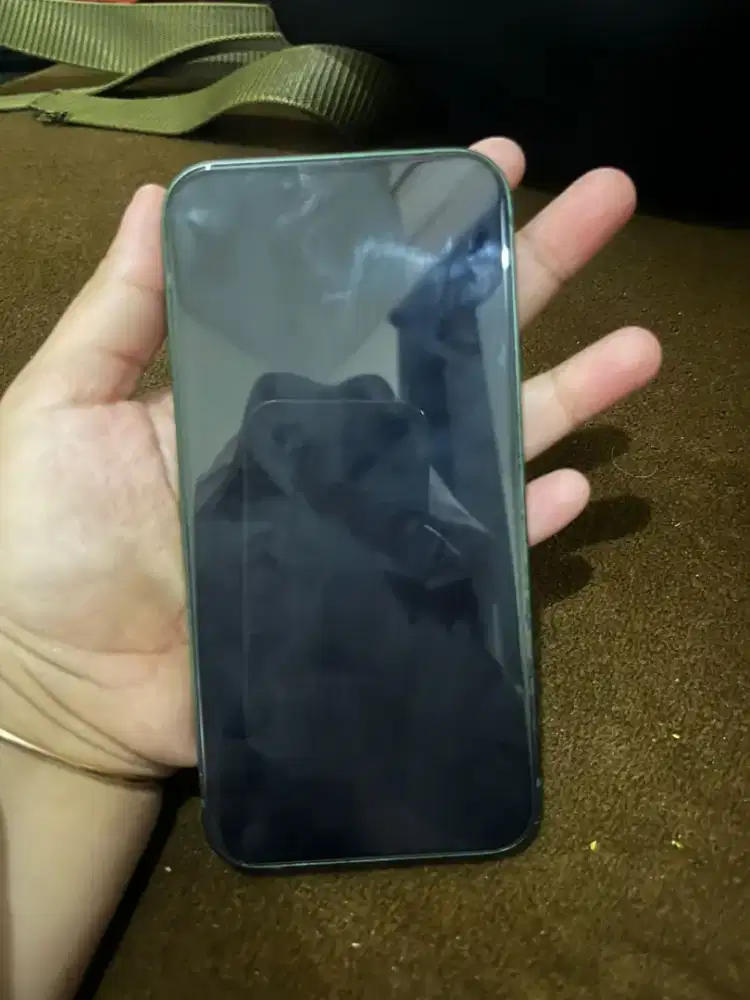 iPhone 13 256GB Green ex iBox Mulus Fullset