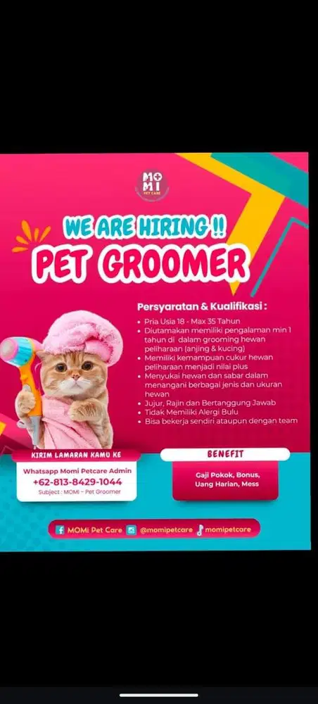 Dibutukan segera groomer