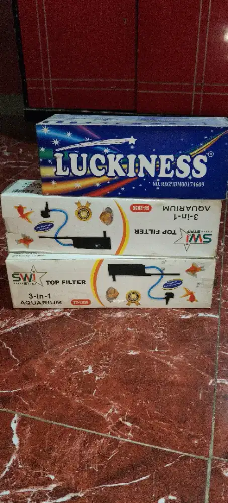 Top filter swi dan luckiness