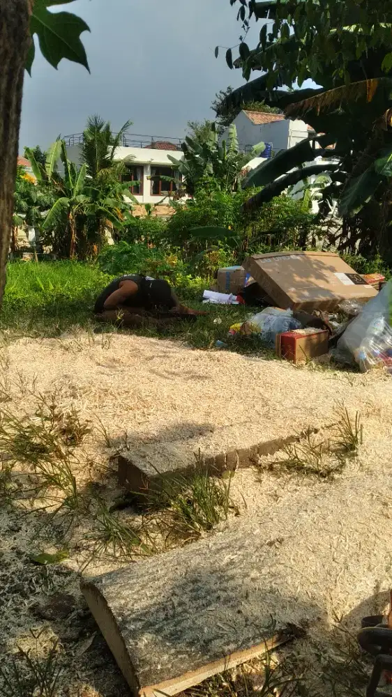 Jasa tebang pohon.sejabotabek