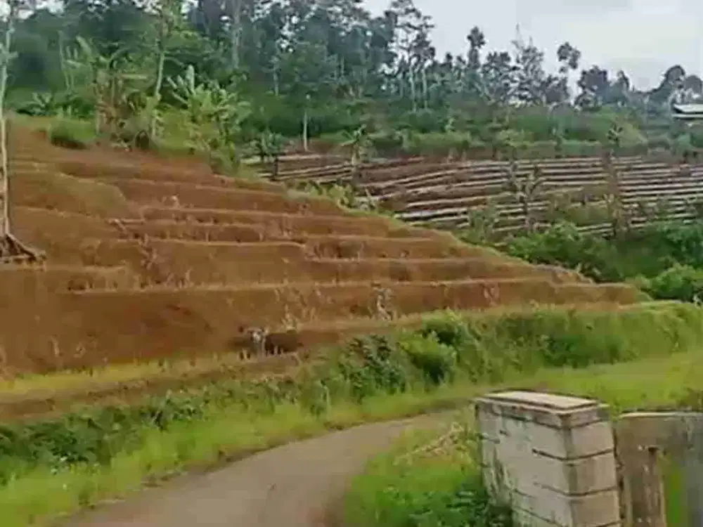 JUAL CEPAT TANAH AKSES MASUK MOBIL HARGA TERJANGKAU SOREANG